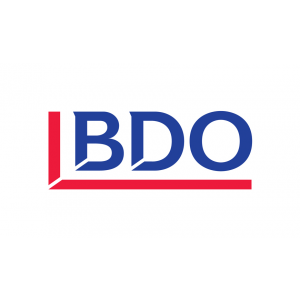 BDO Lietuva Logo